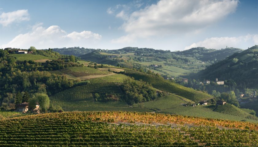 Goodwine Neviglie dal 13 al 15 luglio