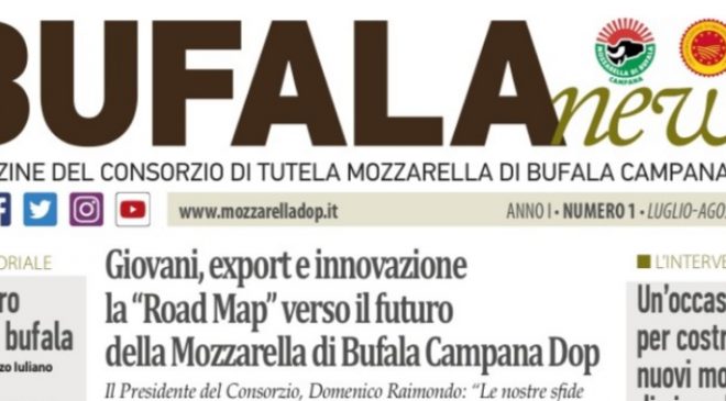 Bufala News il magazine ufficiale del Consorzio Tutela della Mozzarella di Bufala Campana Dop