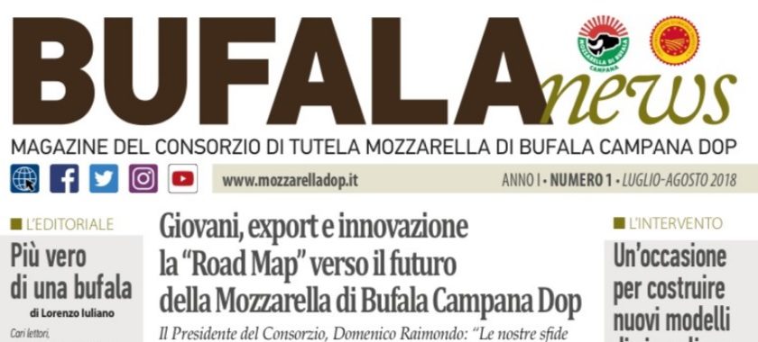Bufala News il magazine ufficiale del Consorzio Tutela della Mozzarella di Bufala Campana Dop