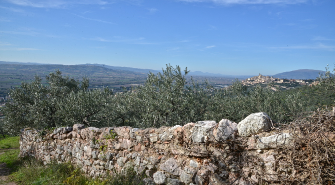 Tempo di bilanci e di nuovi progetti per l’Ass. Strada dell’ Olio Dop Umbria Tempo di bilanci e di nuovi progetti per l’Ass. Strada dell’ Olio Dop Umbria