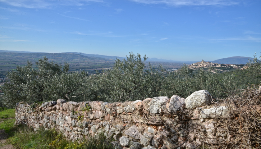 Tempo di bilanci e di nuovi progetti per l’Ass. Strada dell’ Olio Dop Umbria