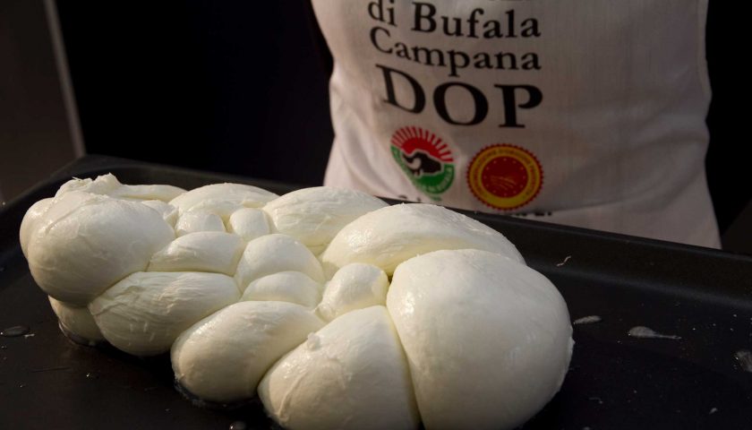 Mozzarella di bufala campana Dop, più tutela negli USA Firmato storico accordo tra Consorzio e Us Dairy