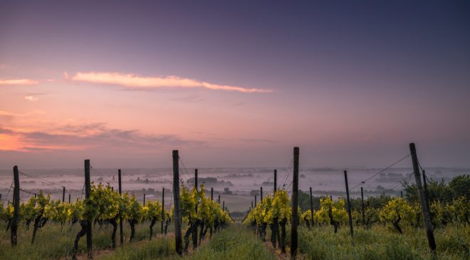 The Grand Wine Tour: la prima certificazione Italia dei servizi enoturistici The Grand Wine Tour: la prima certificazione Italia dei servizi enoturistici