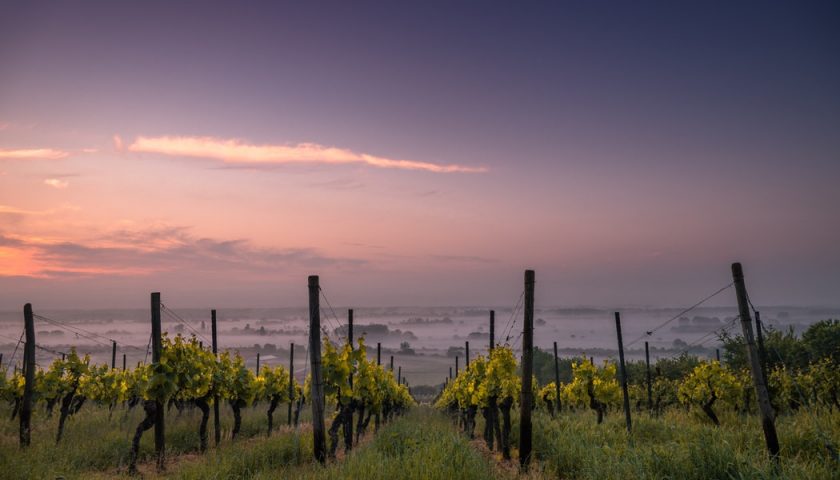 The Grand Wine Tour: la prima certificazione Italia dei servizi enoturistici