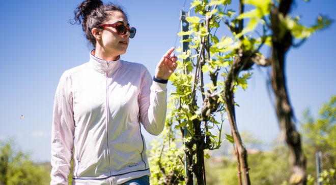 Tenuta Placidi, Arianna rivoluziona il business di famiglia con la viticoltura Bio
