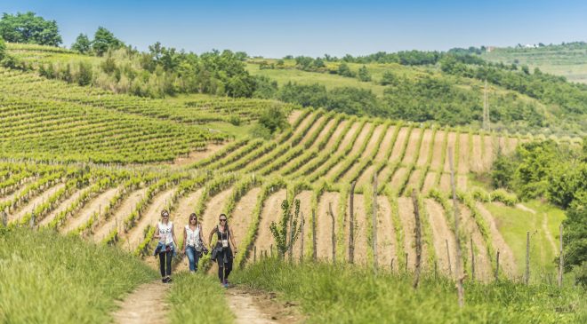 I Formaggi di Fattoria l’8° concorso alla Festa dell’Agricoltura di Istriana I Formaggi di Fattoria l’8° concorso alla Festa dell’Agricoltura di Istriana