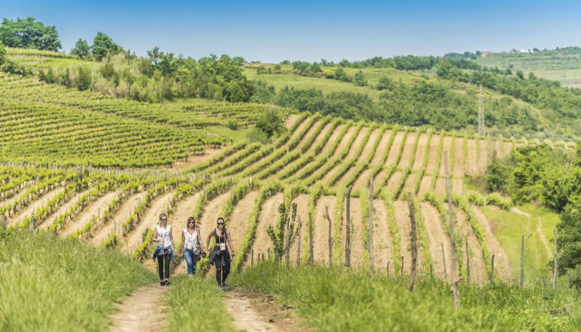 I Formaggi di Fattoria l’8° concorso alla Festa dell’Agricoltura di Istriana