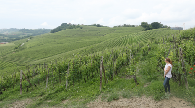 Oddero Poderi e Cantine nuovo appezzamento per ampliare il patrimonio viticolo Oddero Poderi e Cantine nuovo appezzamento per ampliare il patrimonio viticolo