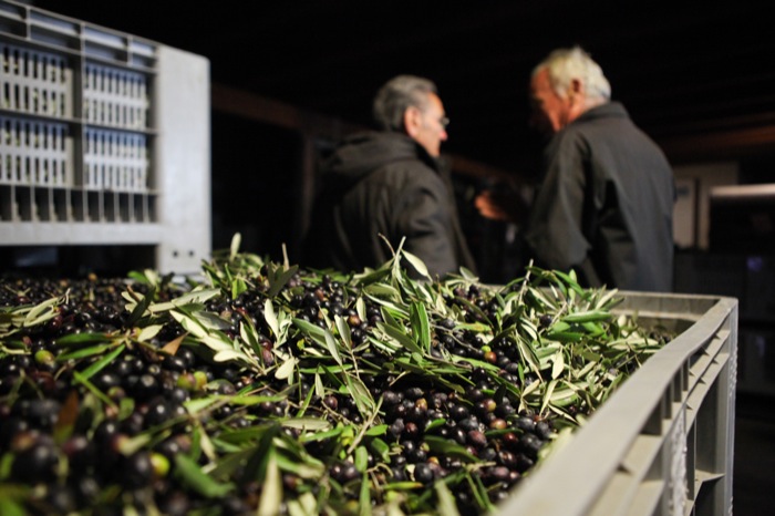 Saperedi Pane Sapore di Olio  a Gualdo Cattaneo 3-4 novembre