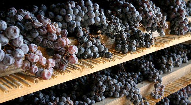 Amarone e fermentazioni in condizioni estreme: ecco il lievito Studiato da Tebaldi e l’Università di Verona Amarone e fermentazioni in condizioni estreme: ecco il lievito Studiato da Tebaldi e l’Università di Verona