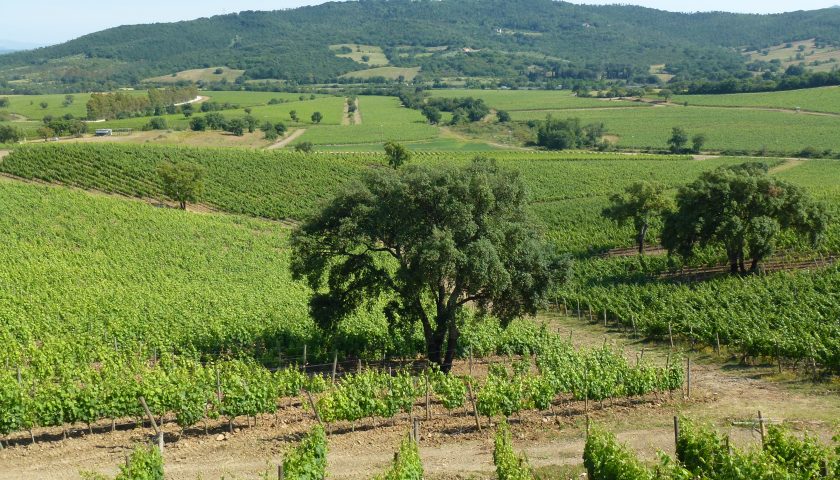 La Doc Maremma Toscana arriva a New York