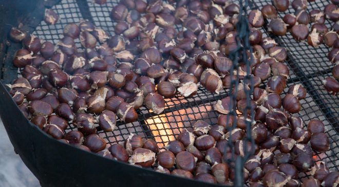 #AmiatAutunno tra castagne e zucche #AmiatAutunno tra castagne e zucche