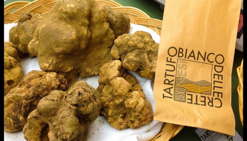 Mostra Mercato del Tartufo Bianco delle Crete Senesi 10/11/17/18 novembre