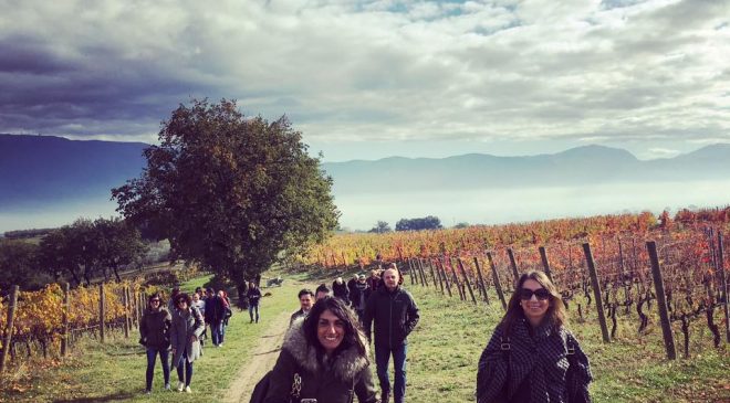 Cantine Aperte a San Martino per il vino Novello Cantine Aperte a San Martino per il vino Novello