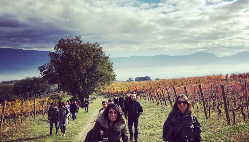 Cantine Aperte a San Martino per il vino Novello