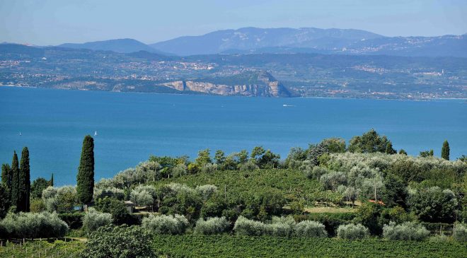 Vini Garda Doc raggiunte le 11 milioni di bottiglie