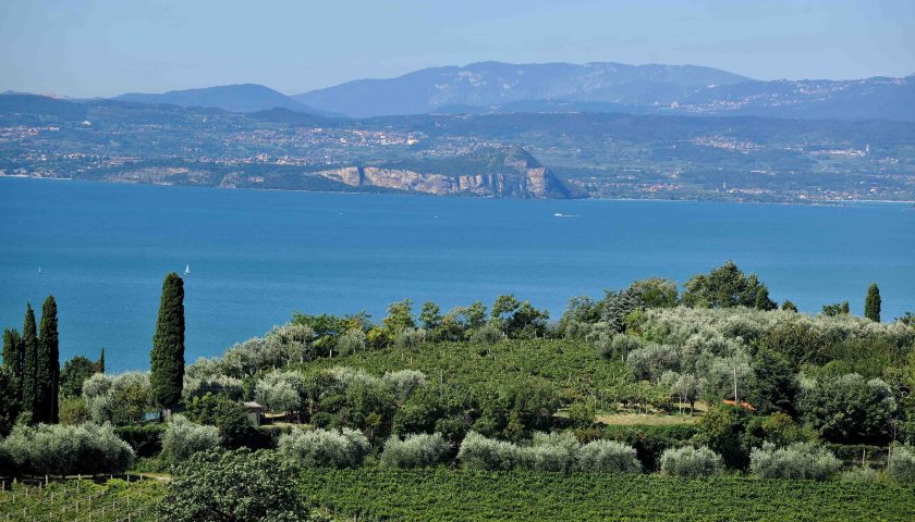 Vini Garda Doc raggiunte le 11 milioni di bottiglie