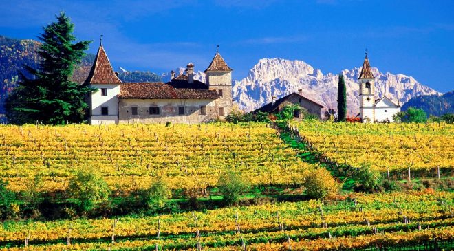 L’Alto Adige nel bicchiere a Milano il 19 novembre L’Alto Adige nel bicchiere a Milano il 19 novembre