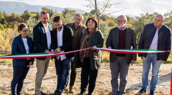 Sono cominciati gli impianti dei nuovi oliveti nell’azienda di Andrea e Stefano Gaudenzi nel comune di Spoleto Sono cominciati gli impianti dei nuovi oliveti nell’azienda di Andrea e Stefano Gaudenzi nel comune di Spoleto