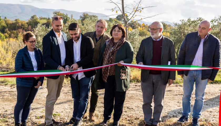 Sono cominciati gli impianti dei nuovi oliveti nell’azienda di Andrea e Stefano Gaudenzi nel comune di Spoleto