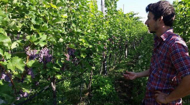 Il nuovo vino di Thomas Niedermayr Il nuovo vino di Thomas Niedermayr