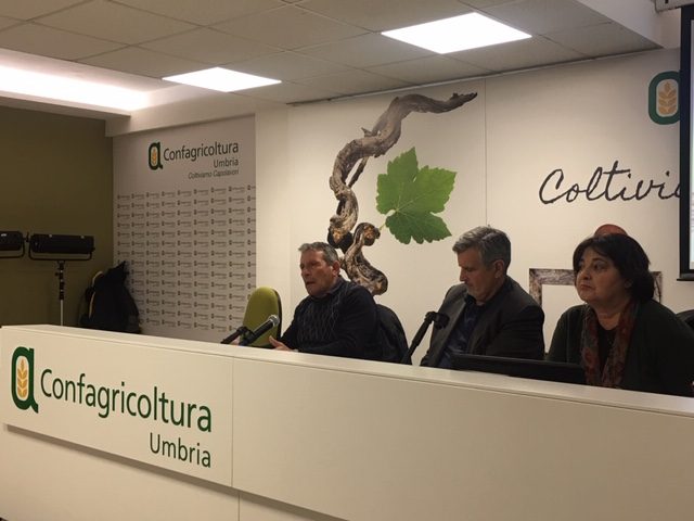 2 MILIONI E 600MILA EURO PER LO SVILUPPO DELLA NOCCIOLA IN UMBRIA
