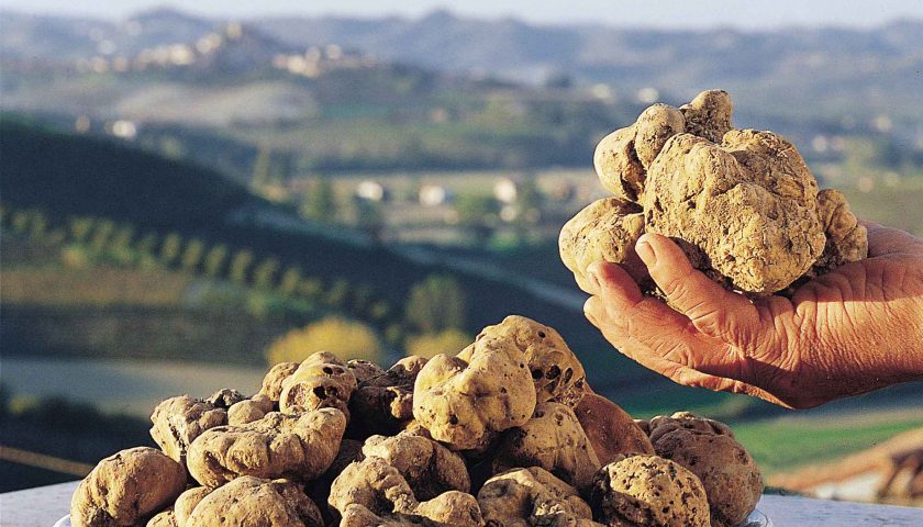 SABATO 30 E DOMENICA 31 MARZO VOLTERRA IN FESTA CON LA IX MOSTRA MERCATO DEL TARTUFO MARZUOLO