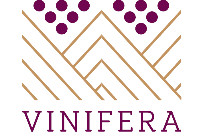 VINIFERA TRENTO:  QUELLO DEL VINO NON È UN PAESE (SOLO) PER VECCHI