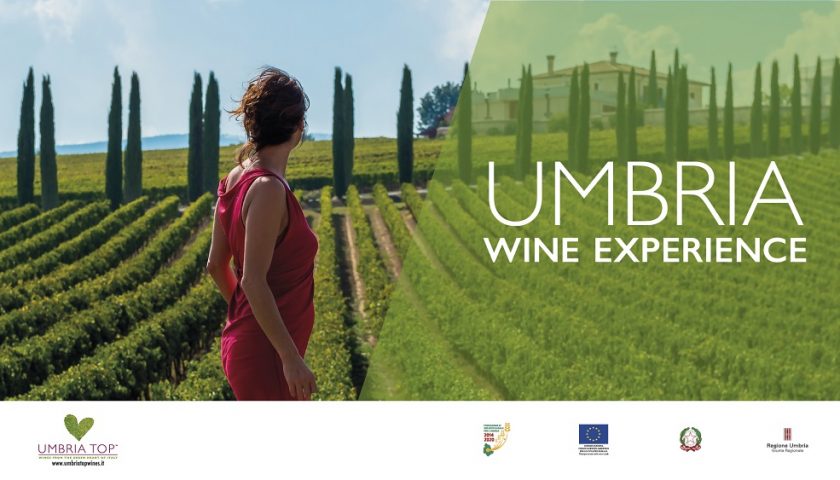 Prosegue il “tour” europeo e il percorso unitario dell’Umbria del vino.