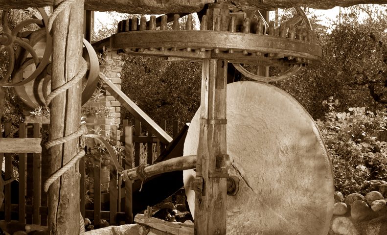 OLIO TURRI, AL SOL&AGRIFOOD IL LIBRO DEDICATO ALLA STORIA DEGLI OLIVI DEL GARDA