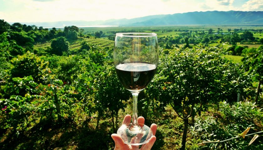 Vini e vignaioli alla Rocca di Bertinoro per “80 voglia di Romagna”