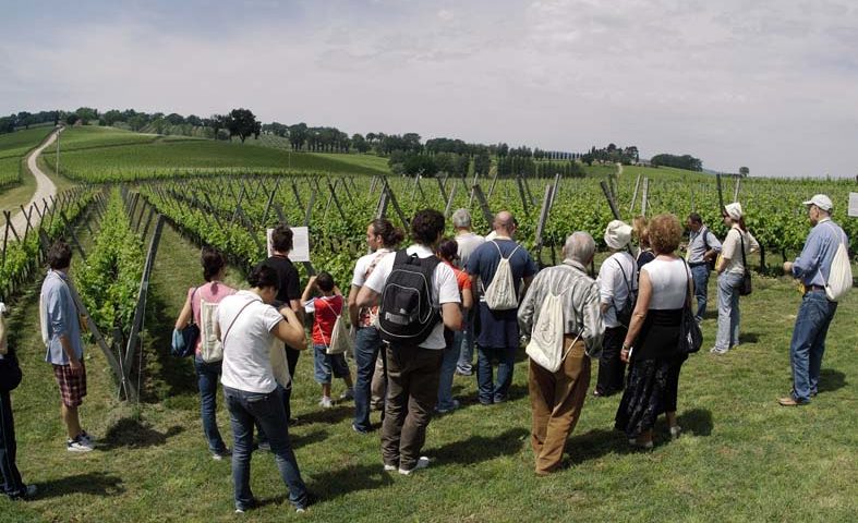 Cantine Aperte in Umbria 25 e 26 maggio