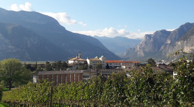 3° MS Wine Day, focus sulle nuove conoscenze nel settore della chimica del vino 3° MS Wine Day, focus sulle nuove conoscenze nel settore della chimica del vino