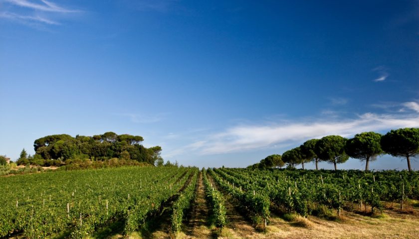 Cantine Aperte: Il 25 e 26 maggio visite in cantina tra Torgiano e Montefalco