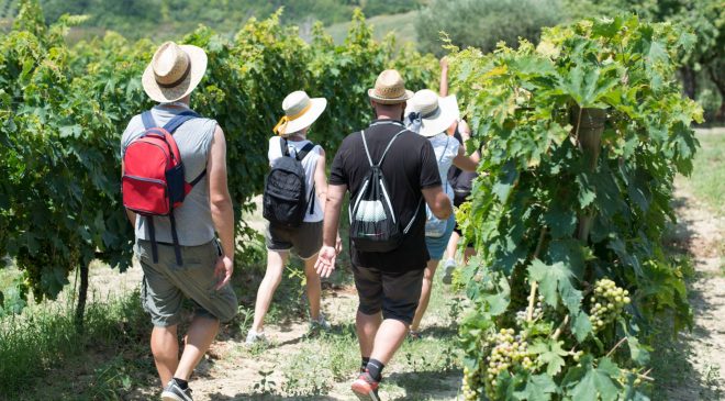 Nuove emozioni e abbinamenti gourmet per la Mangialonga Picena 2019 Nuove emozioni e abbinamenti gourmet per la Mangialonga Picena 2019