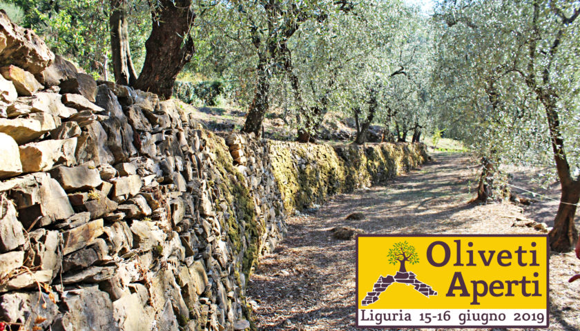 Oliveti Aperti alla scoperta di una Liguria inedita il 15 e 16 giugno