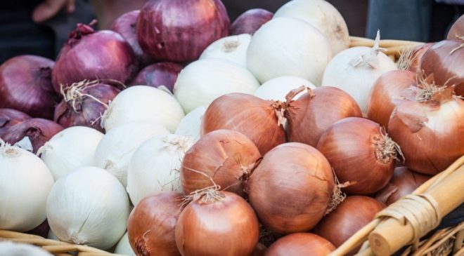 Cipolla e Scalogno, il gusto inconfondibile