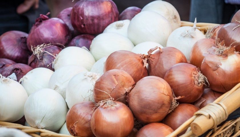 Cipolla e Scalogno, il gusto inconfondibile