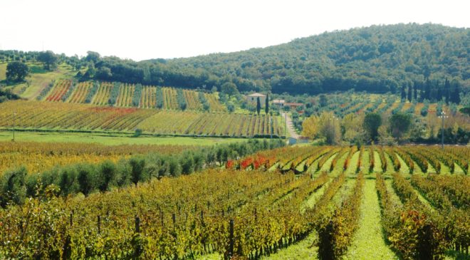 Bulichella e gli abbinamenti inconsueti: tre serate dove Toscana e Giappone s’incontrano