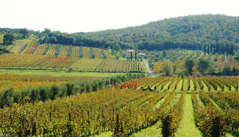 Bulichella e gli abbinamenti inconsueti: tre serate dove Toscana e Giappone s’incontrano