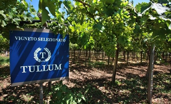 La DOP Tullum diventa una DOCG La DOP Tullum diventa una DOCG