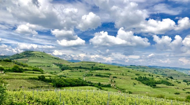 Lessini Durello: un “patrimonio” a difesa della risorsa acqua