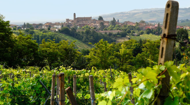 Valtidone Wine Fest, a settembre la decima edizione della rassegna del vino piacentino Valtidone Wine Fest, a settembre la decima edizione della rassegna del vino piacentino