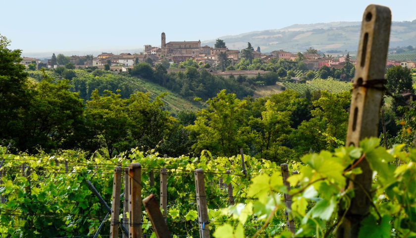 Valtidone Wine Fest, a settembre la decima edizione della rassegna del vino piacentino