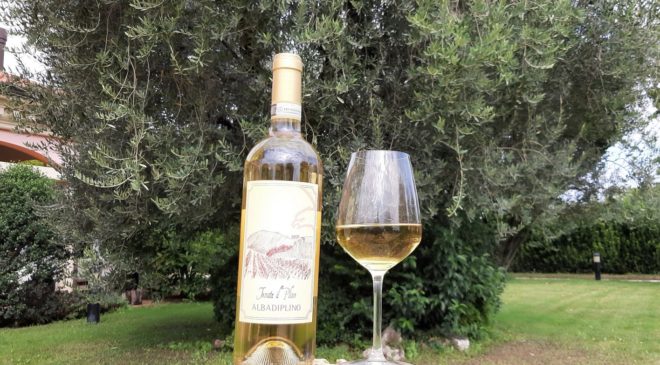 Nuovo brindisi al Merano Wine Festival per l’Albana di Tenuta Il Plino