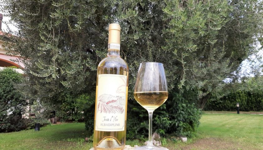 Nuovo brindisi al Merano Wine Festival per l’Albana di Tenuta Il Plino