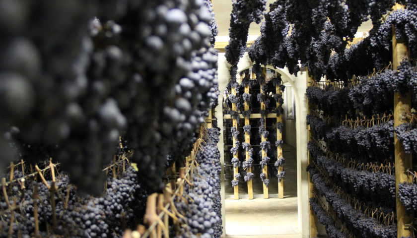 “Appassimenti Aperti”, tutti i sapori della Veraccia Nera