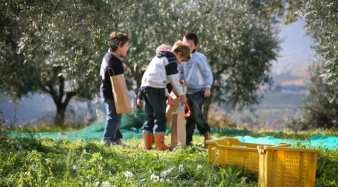 Dal 1° al 3 novembre 2019 “Festivol, Trevi tra olio, arte, musica e papille” Dal 1° al 3 novembre 2019 “Festivol, Trevi tra olio, arte, musica e papille”