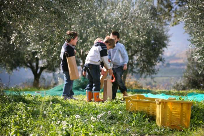 Dal 1° al 3 novembre 2019 “Festivol, Trevi tra olio, arte, musica e papille”