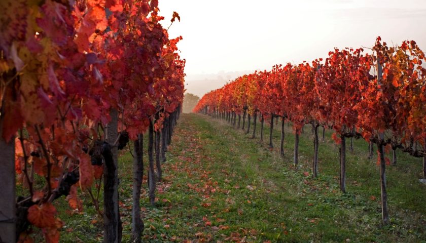 Il 10 novembre Cantine Aperte a San Marino: il kilometroZERO è servito
